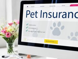Pet insurance for dogs and cats essential coverage explained