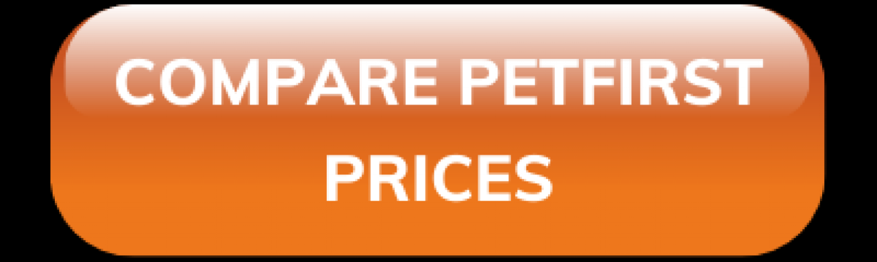 Pet best cat insurance