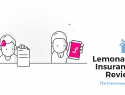 Is Lemonade Homeowners Insurance Good A Comprehensive Review