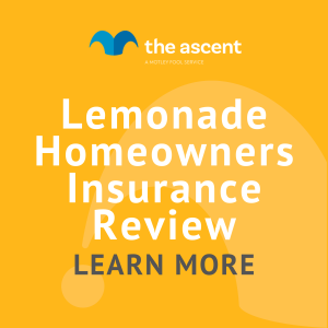 Is Lemonade Good Homeowners Insurance An Insightful Review