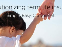 Term Life Insurance Amica Insights And Benefits