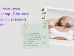 Pet Best Dog Insurance Ensuring Your Dogs Wellbeing