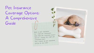 Pet best dog insurance