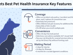 pets best insurance boise id for Your Furry Friends