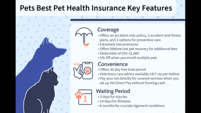pets best insurance boise id for Your Furry Friends