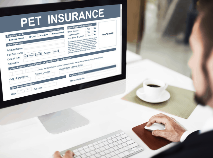 Petsbest insurance reviews reddit