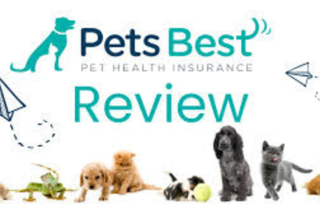 Petsbest insurance reviews reddit