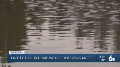 Flood insurance for coastal homes A comprehensive guide