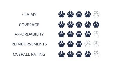 Pets best insurance boise