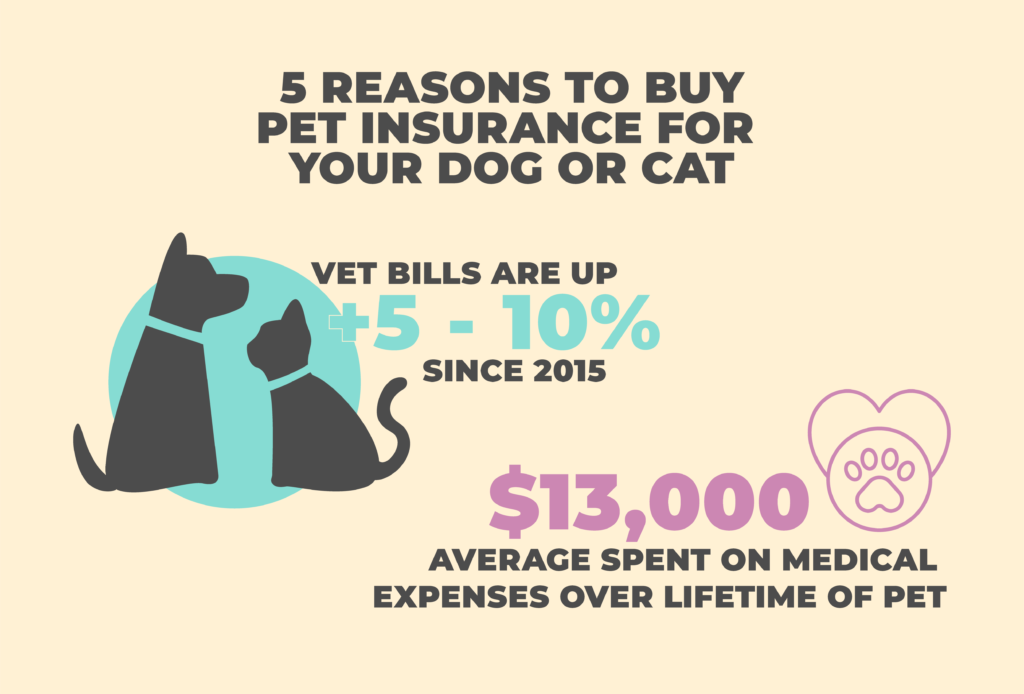 Pet insurance for veterinary bills