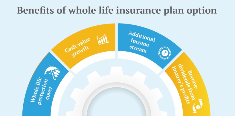 Term life insurance vs whole