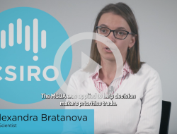 Multi Criteria Decision Analysis Software Unlocking Choices