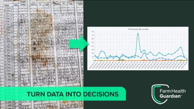 Turning data into decisions for effective outcomes