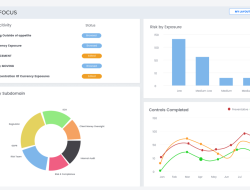 Decision focus on the significance of translation